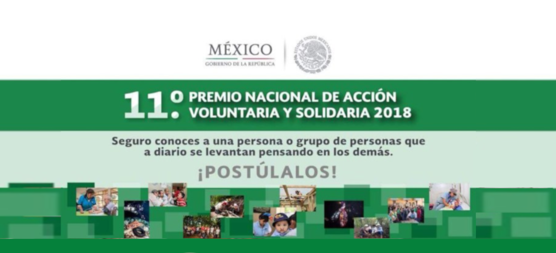 Convocatoria 11° Premio Nacional de Acción Voluntaria y Solidaria 2018